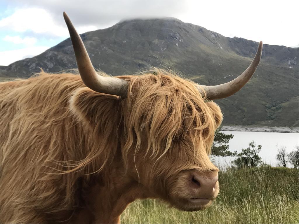 Caledonian Cabin Invergarry Dış mekan fotoğraf